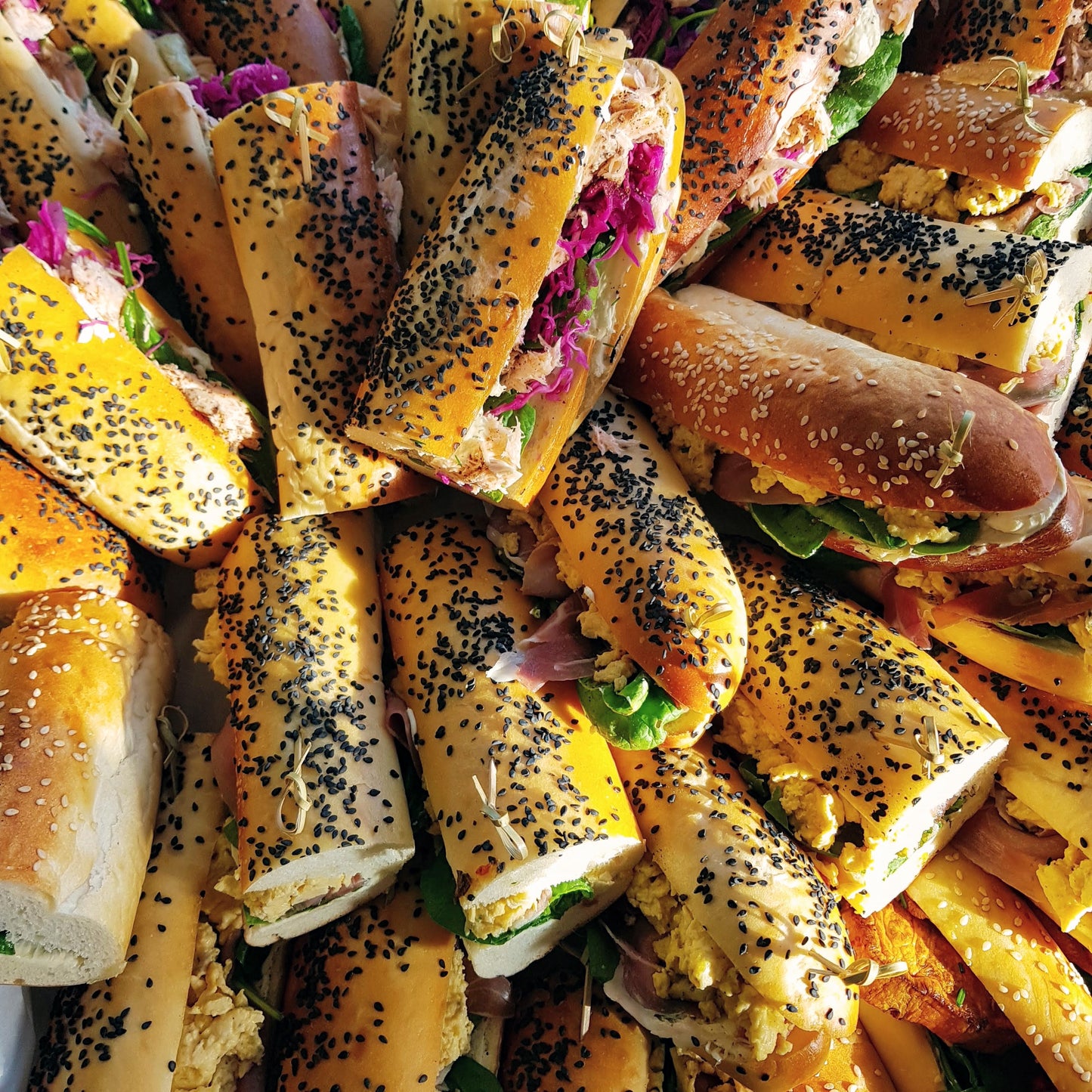 Premium Sandwich Boxes